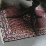 513 8445 Matta